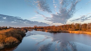 Bremen Blockland Nature Sanctuary